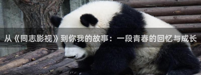 被窝影院第4页：从《同志影视》到你我的故事：一段青春的回忆与成长