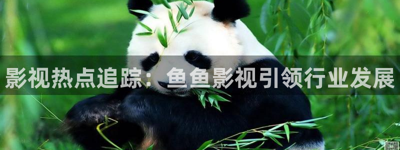 被窝午夜电影网：影视热点追踪：鱼鱼影视引领行业发展