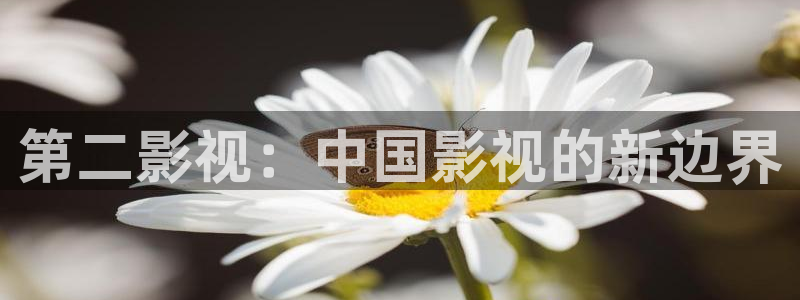 被窝影院在线观看蜜桃：第二影视：中国影视的新边界